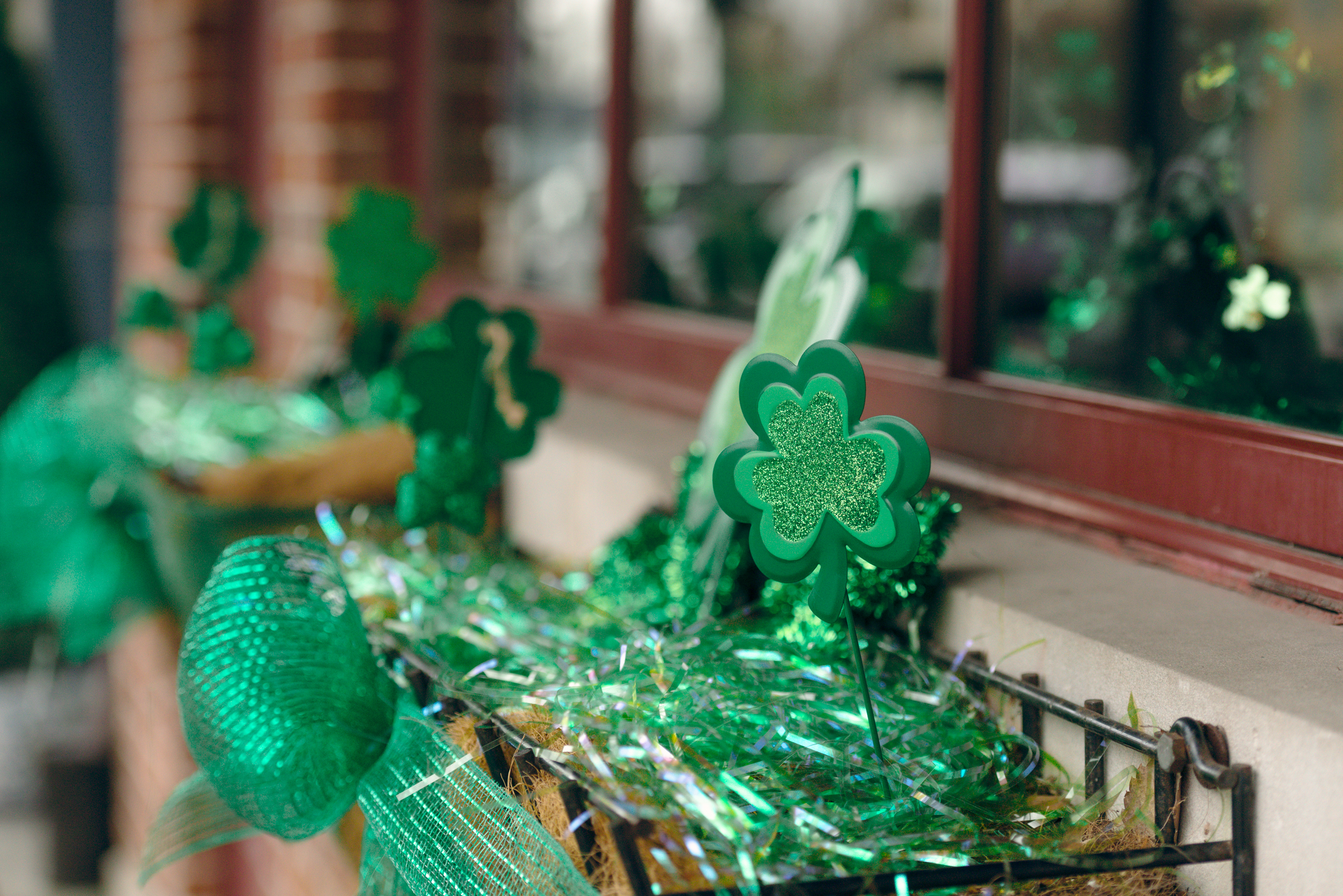 2026 St. Paddy’s Beer Crawl in Tipp City, Ohio by Andrea Molina Photography